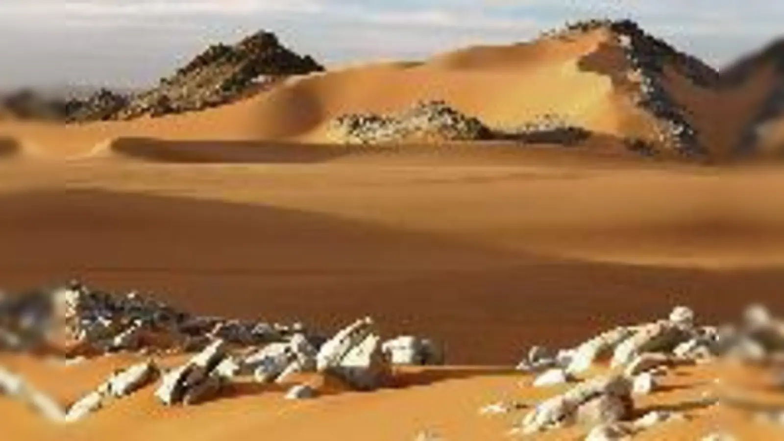 Von der Wüste bis zur Eislandschaft  Biskamps Archiv ist umfangreich. 	 (Foto: VA)