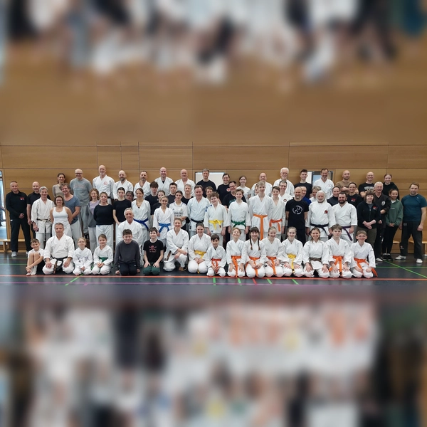 Die Referenten und Teilnehmenden freuten sich über einen gelungenen Lehrgang. (Foto: Budo-Verein)