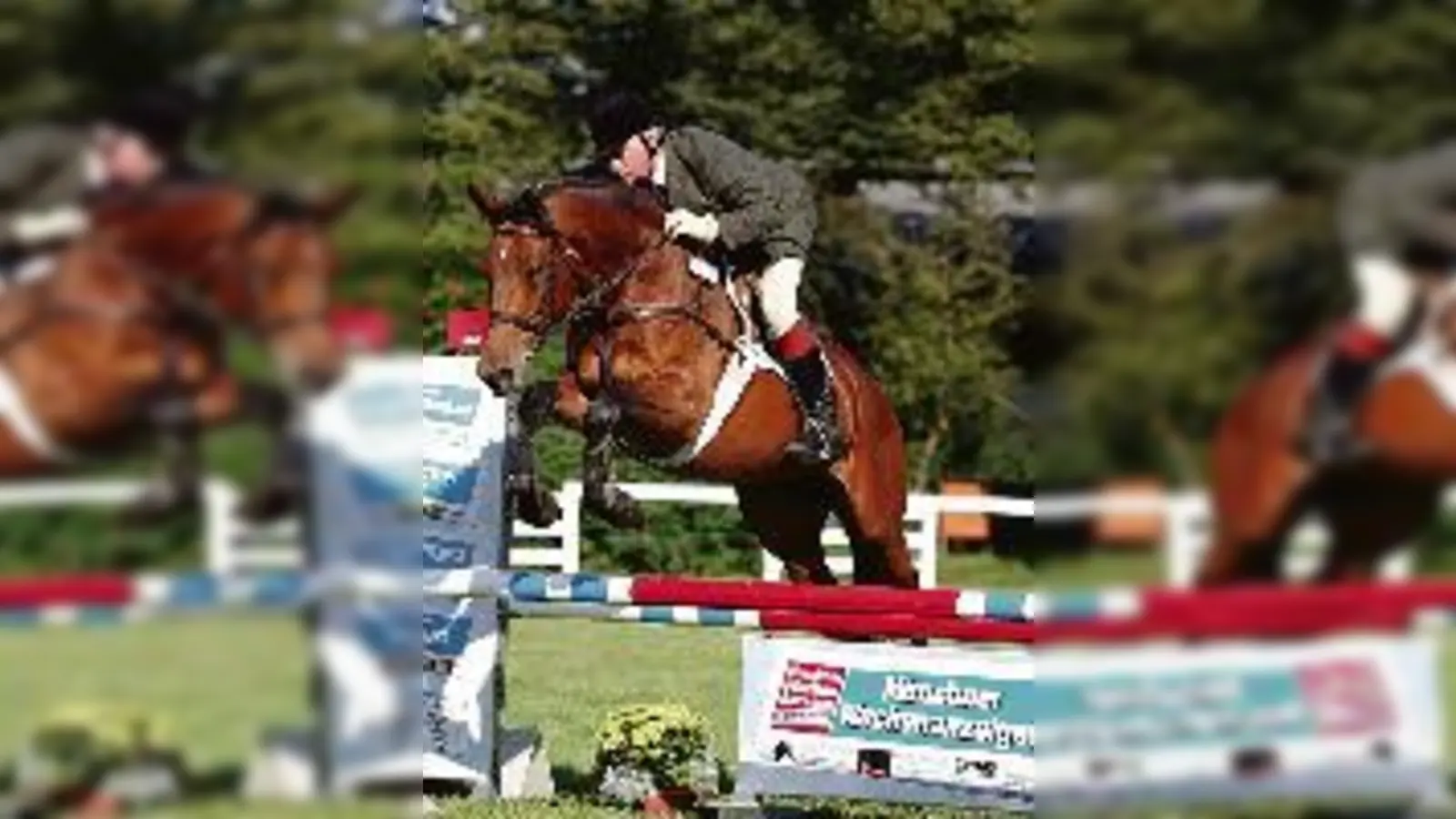 In der FN-Hunterklasse konkurrieren die »reiferen Jahrgänge« miteinander und stellen ihre sportliche Vitalität unter  (Beweis.Foto: Veranstalter)