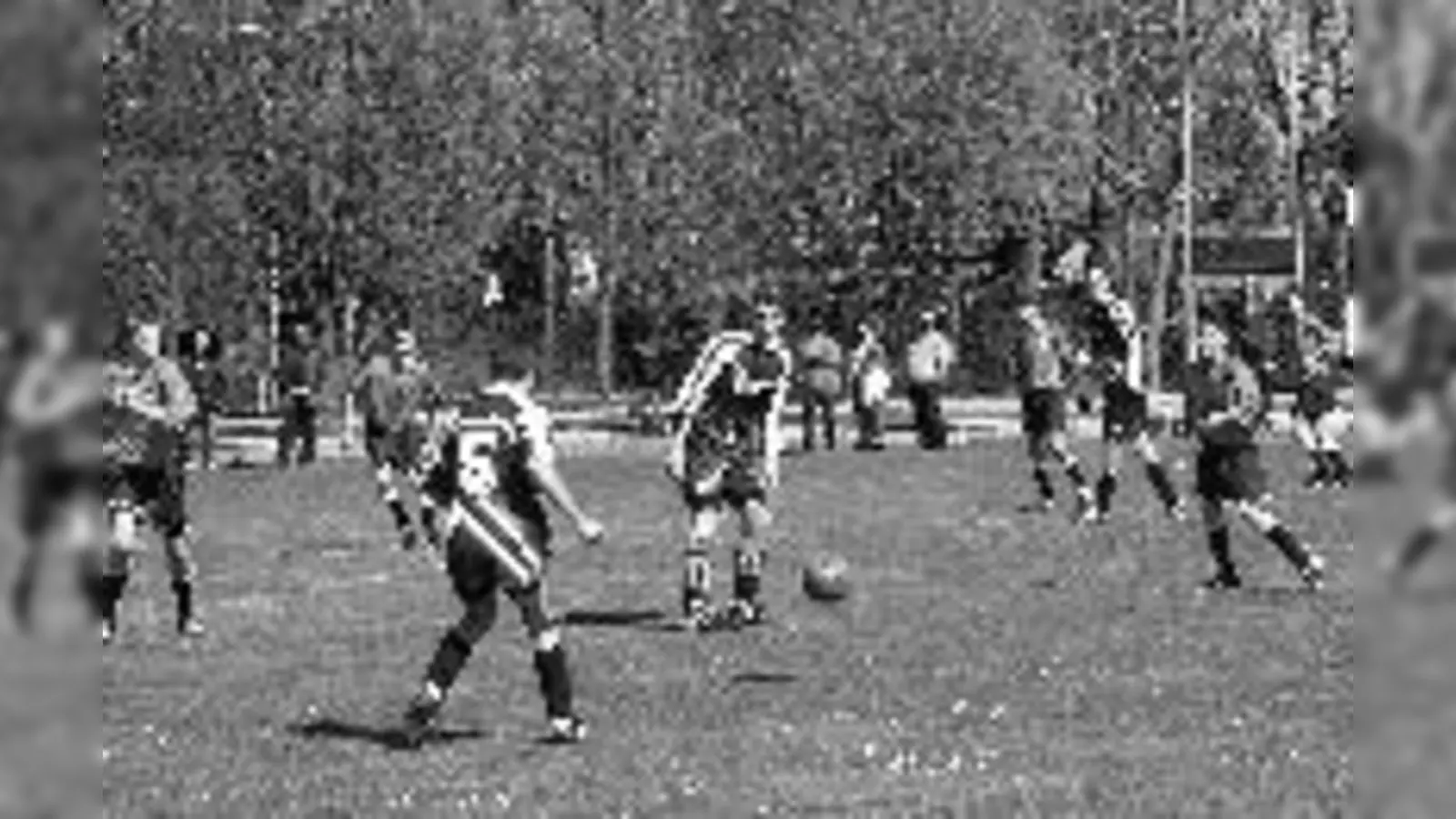 Gegen die jungen Löwen hatten die B-Jugendspieler des FC Fasanerie-Nord (dunkle Trikots) keine Chance.	 (Foto: Privat)