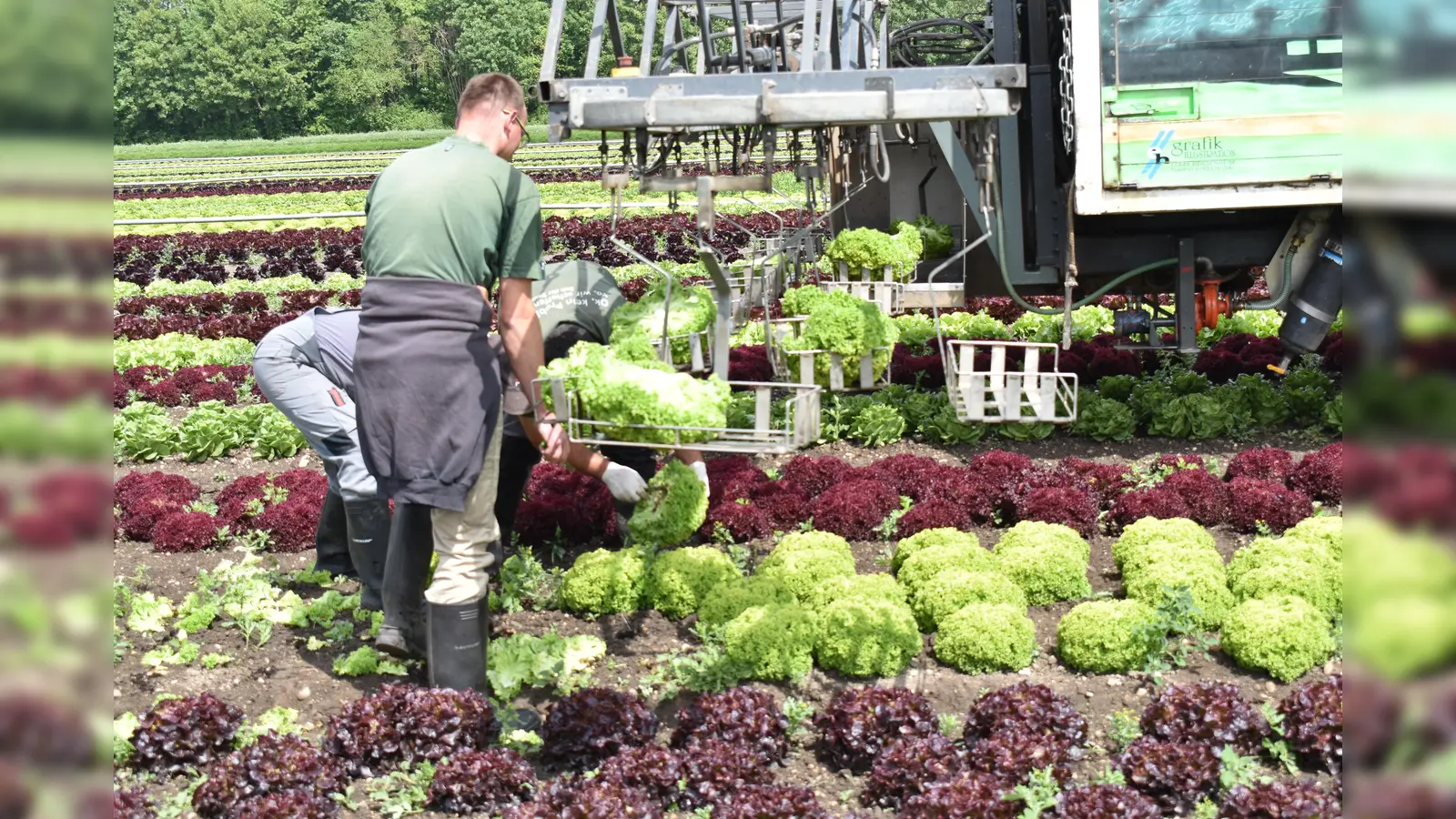 Der Nachrücker sieht die Städtebauliche Entwicklungsmaßnahme kritisch. (Foto: Daniel Mielcarek)