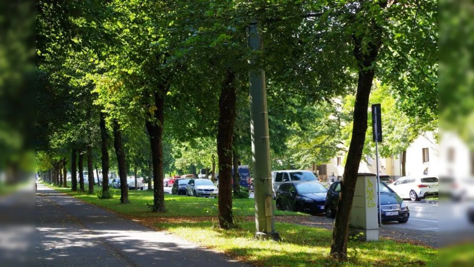 In einem ersten Bauabschnitt wird entlang der Gotthardstraße in offener Bauweise, also oberirdisch, am Tunnel für die U5-Trasse gebaut. Hunderte Bäume sollen dafür fallen und später nachgepflanzt werden. (Foto: kö)
