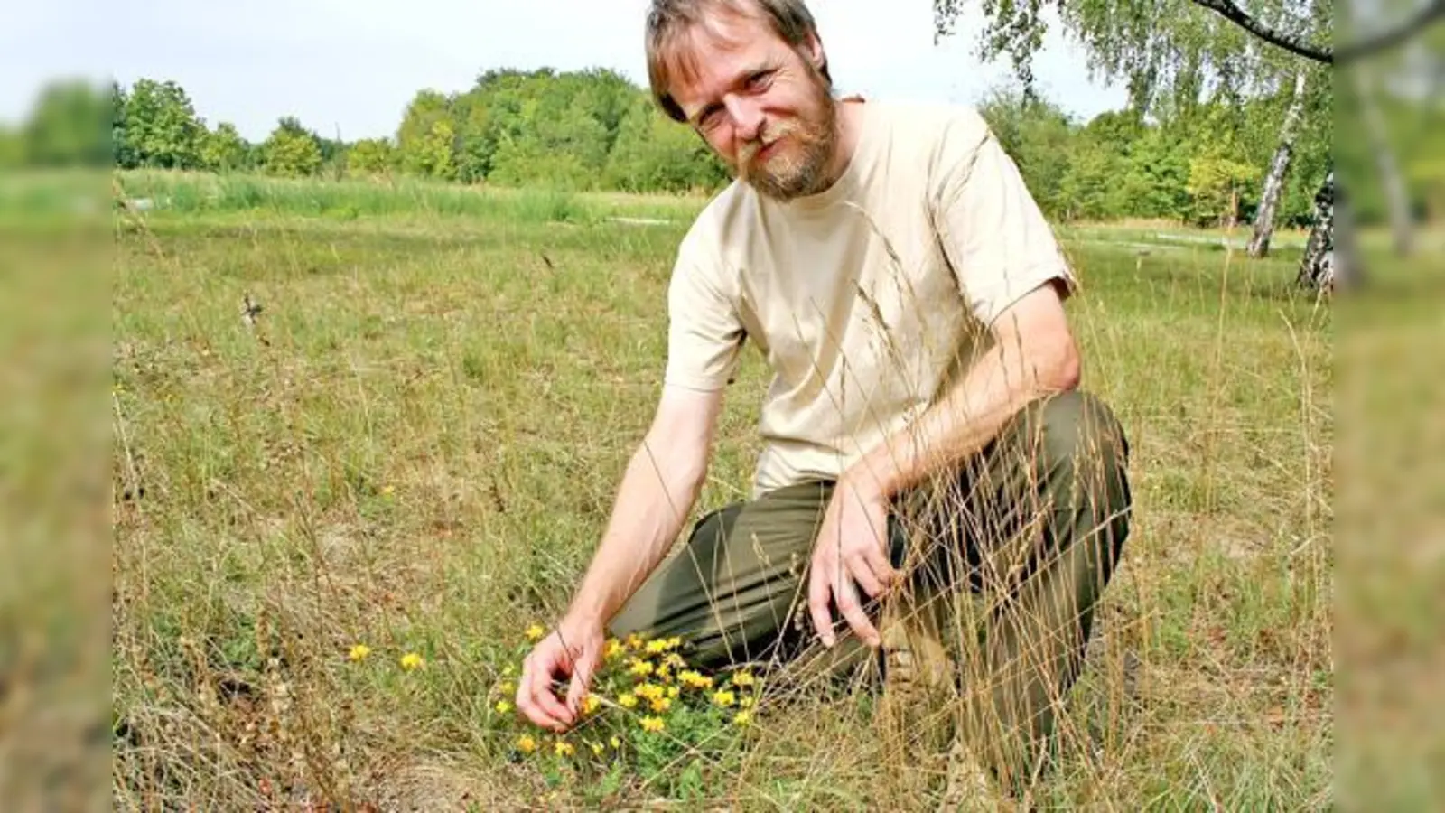 Der gelbe Hornklee wächst im Virginia-Depot, wie Diplom-Biologe Christian Köbele voller Stolz zeigt. Bei einer Führung kann man die Naturschätze in dem ehemaligen Kasernengelände kennenlernen.	 (Foto: ws)