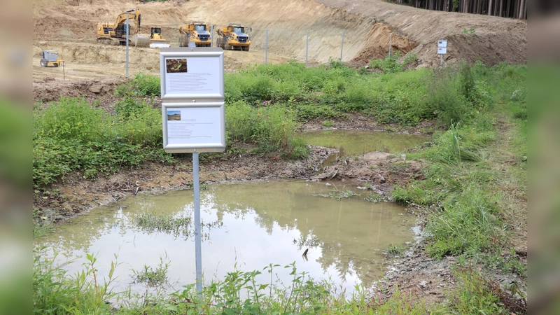 Durch eine neue Kooperation mit Clariant, wird Gammelsdorf Retter für viele Amphibienarten. (Foto: LBV)
