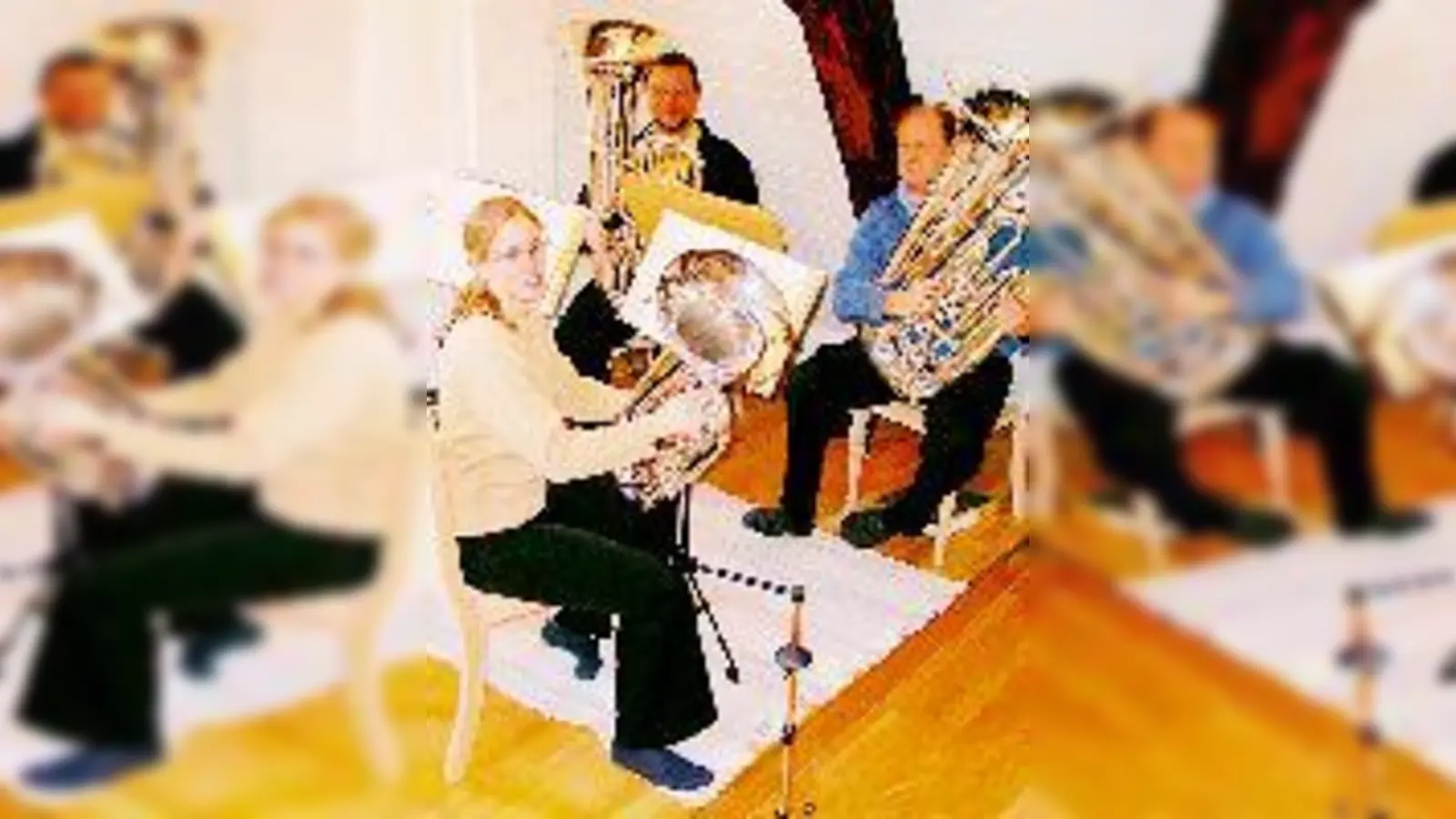 Gut bei Puste ist das Tuba-Quartett.	 (Foto: Privat)