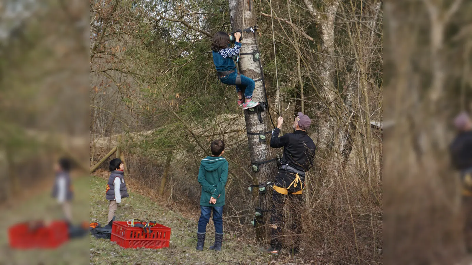 Auch heuer können Jugendliche im Nonnenwald beim gesicherten Baumklettern hoch hinaus. (Foto: LRA)