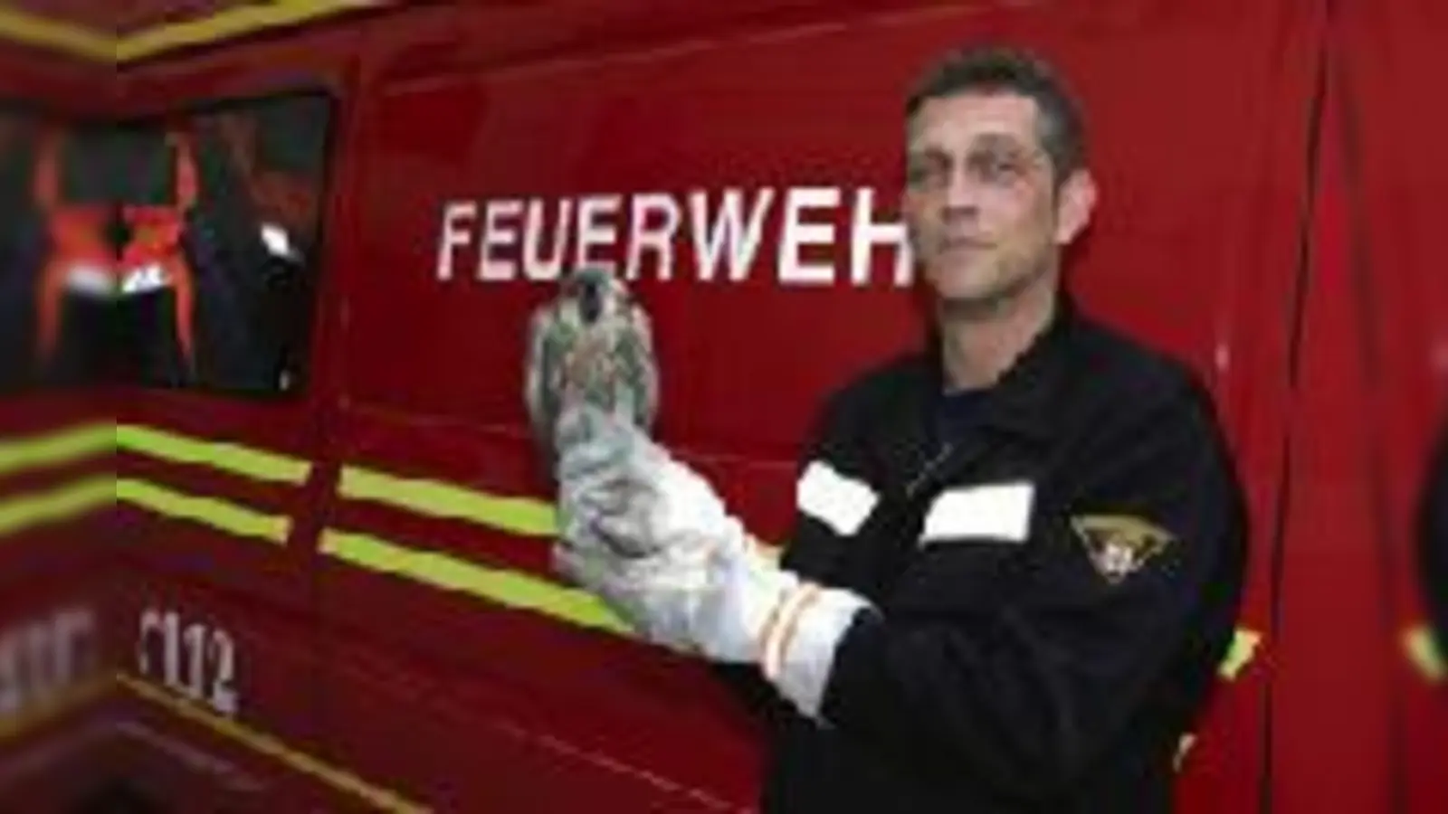 Flugunfähiger Falke am Mariahilfplatz.  (Foto: FW)