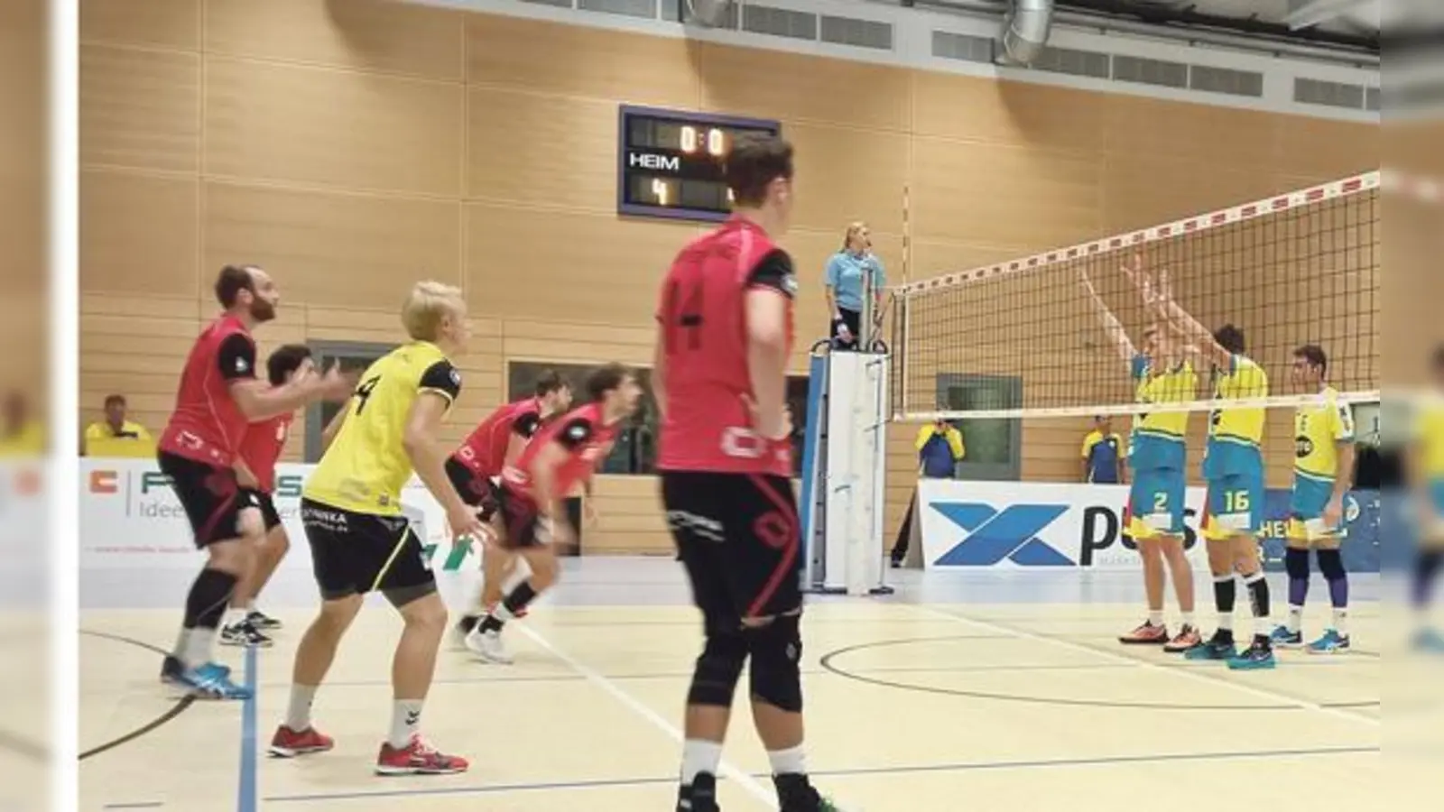 In Schwaig gab es für die Grafinger Volleyballer nichts zu holen. 	 (Foto: Volleyball Grafing)