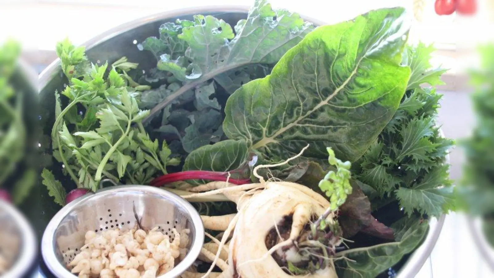 Im Uhrzeigersinn: Schnittsellerie, wilder Kohl, Mangold, Mizuna, Pastinake und der Knollen-Ziest. Alles frisch geerntet - Ende Janaur. (Foto: Huss-Weber)