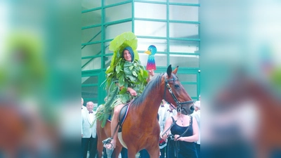 Der Wasservogel 2009: Er ist der Namensgeber des Filmes, den die Journalistenakademie gedreht hat. (Foto: bb)