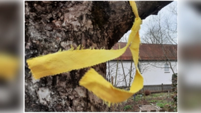 Von Obstbäumen mit einem gelben Band dürfen sich Bürger Obst zum Eigenbedarf mitnehmen.  (Foto: Plan A)