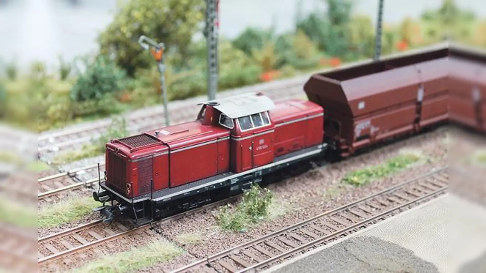 Die Baureihe V 100 der Deutschen Bundesbahn wurde 1958 bis 1963 hergestellt. Bei der MVG Modellbahnausstellung ist die Diesellok elektrisch unterwegs.	 (Foto: VA)