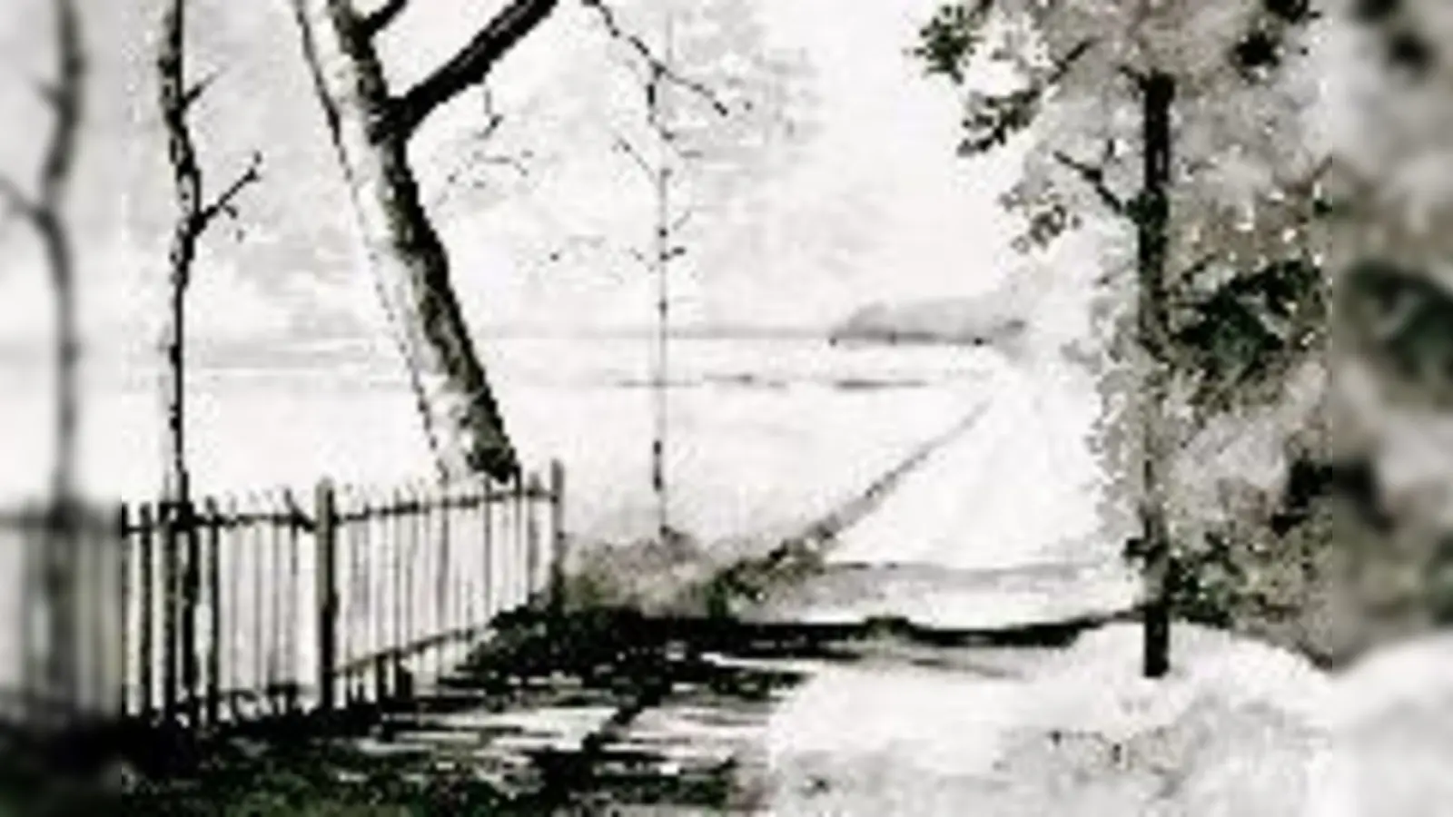 November-Bild: das Daglfinger Moos.	 (Foto: Kalender)