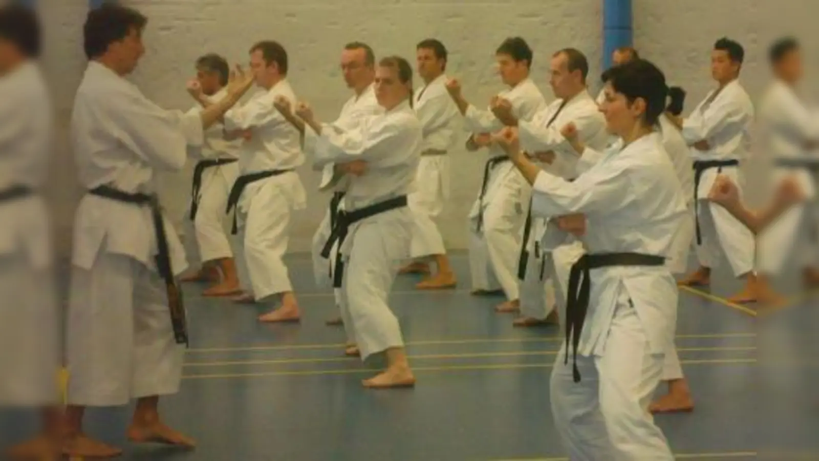 Der Bundestrainer Karamitsos im Training beim Jubiläumslehrgang. Bildquelle „Seiko Karate e.V.“