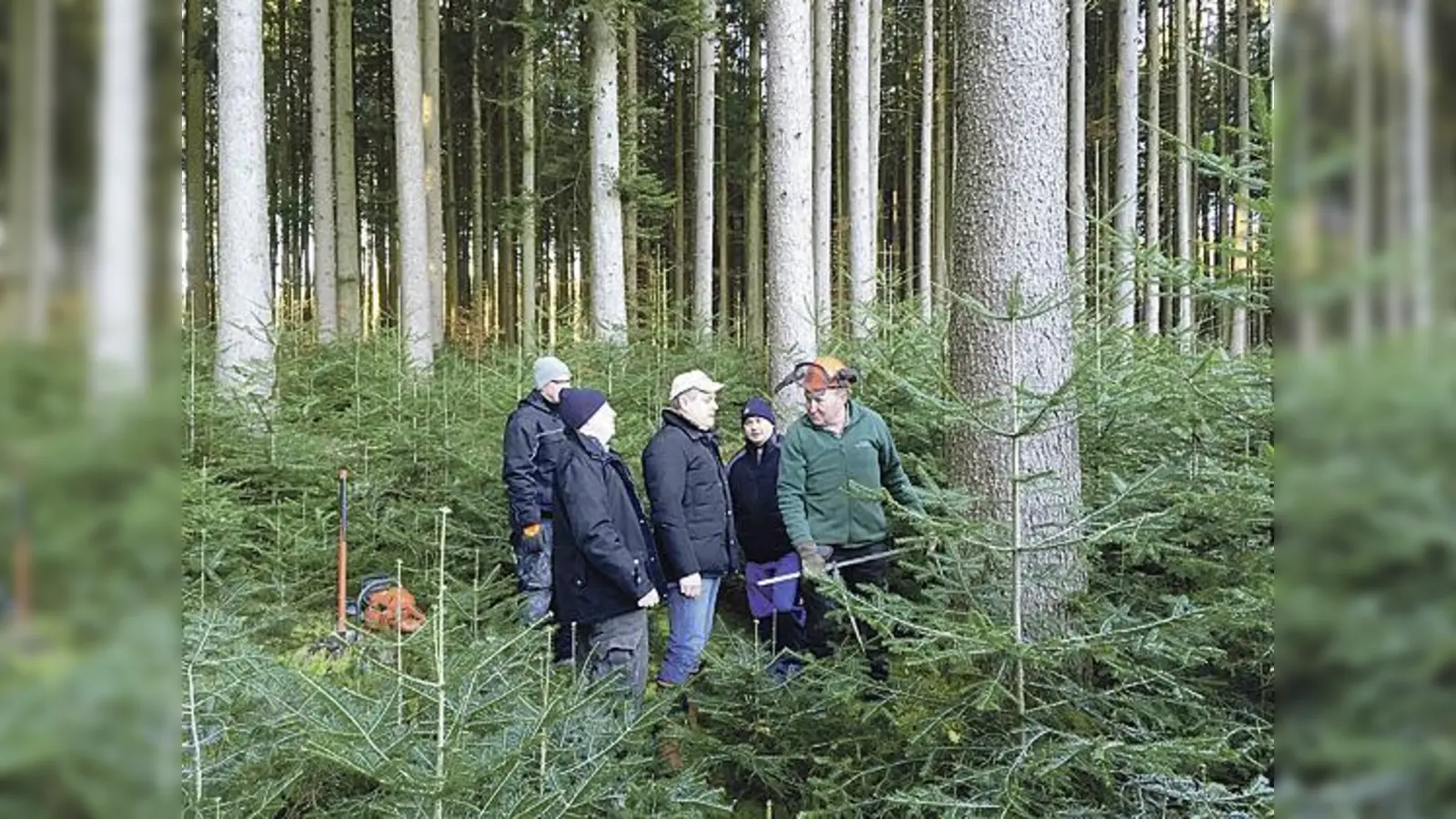 Bereits Anfang Januar suchten die Burschen aus Höhenkirchen ihren neuen Maibaum aus. 	 (Foto: VA)