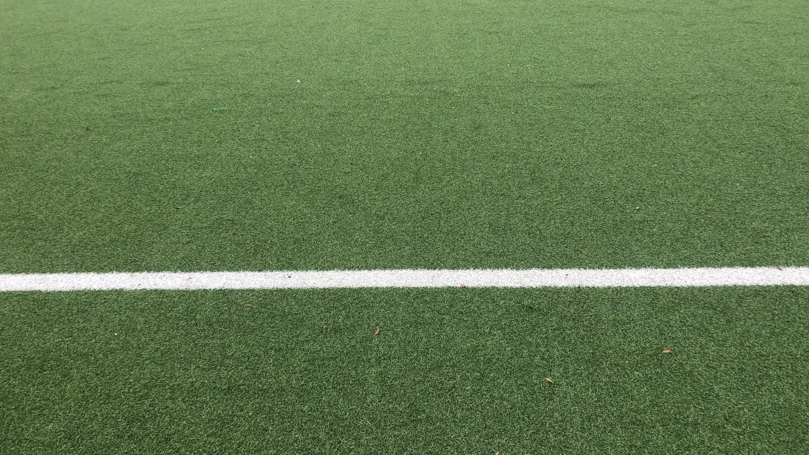 Freundschaftsspiele: Amateur-Löwen in der Winterpause. (Foto: Alfons Seeler)