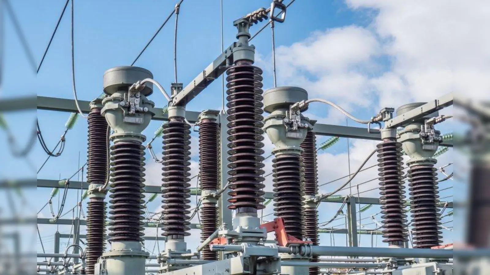 Foto: fotolia.de © animaflora (#229712939)