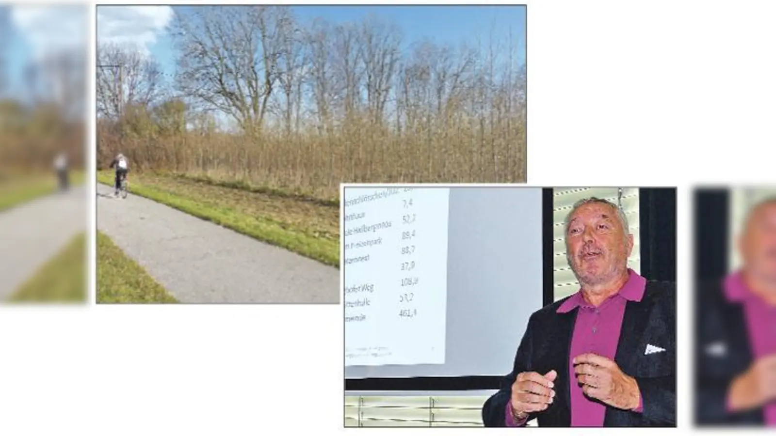 Georg Schu warb im Gemeinderat für die Pflanzung einer »Kurzumtriebsplantage« in Hallbergmoos für die Produktion von Pellets. Oben: Eine Kurzumtriebsplantage aus Weiden und Pappeln bei Fischerhäuser. 	 (Fotos: bb)