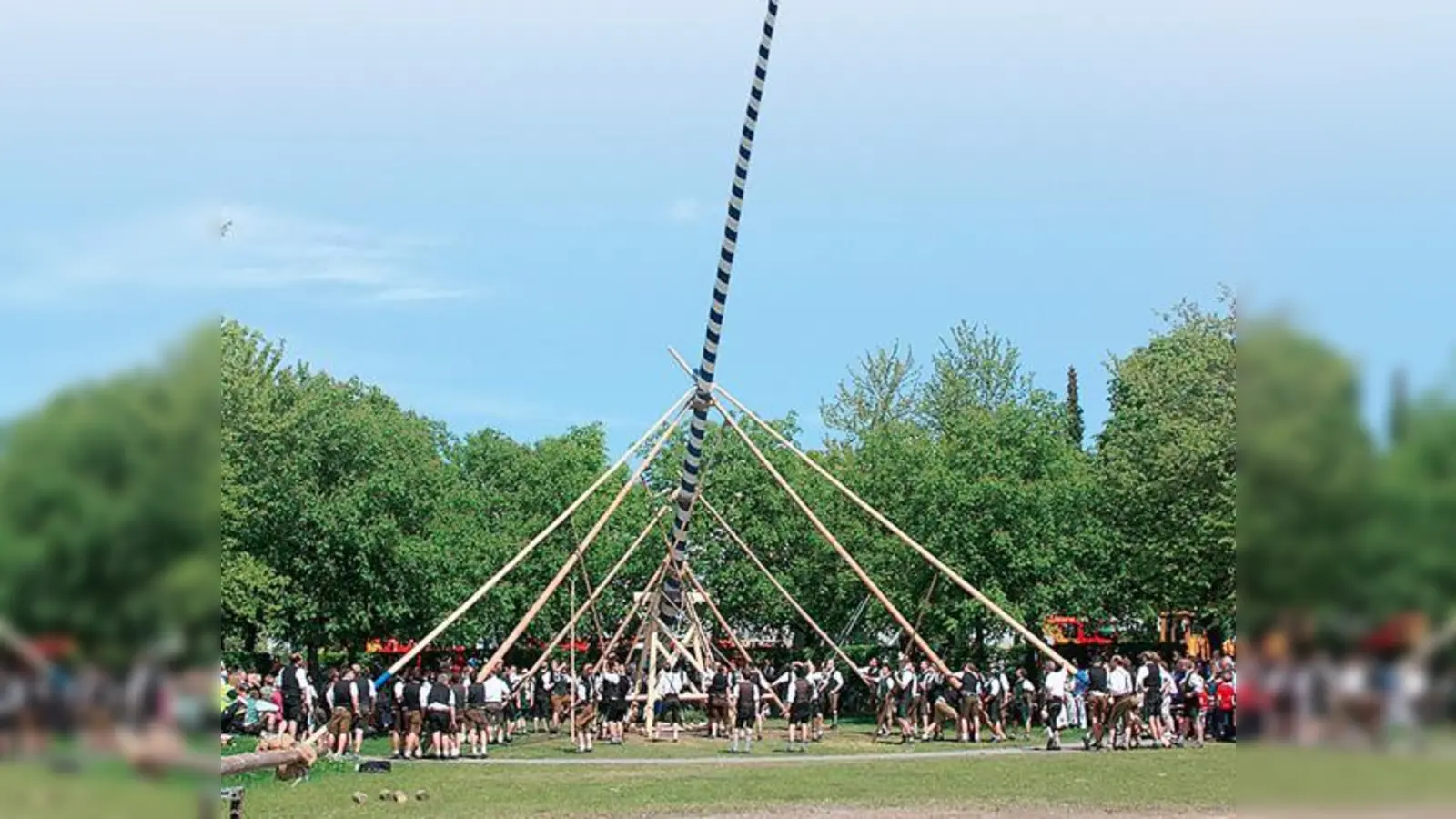 Heuer ist es wieder soweit: Alle fünf Jahre stellen die Ottobrunner Burschen einen neuen Maibaum auf der Festwiese auf. 	 (F.: privat)