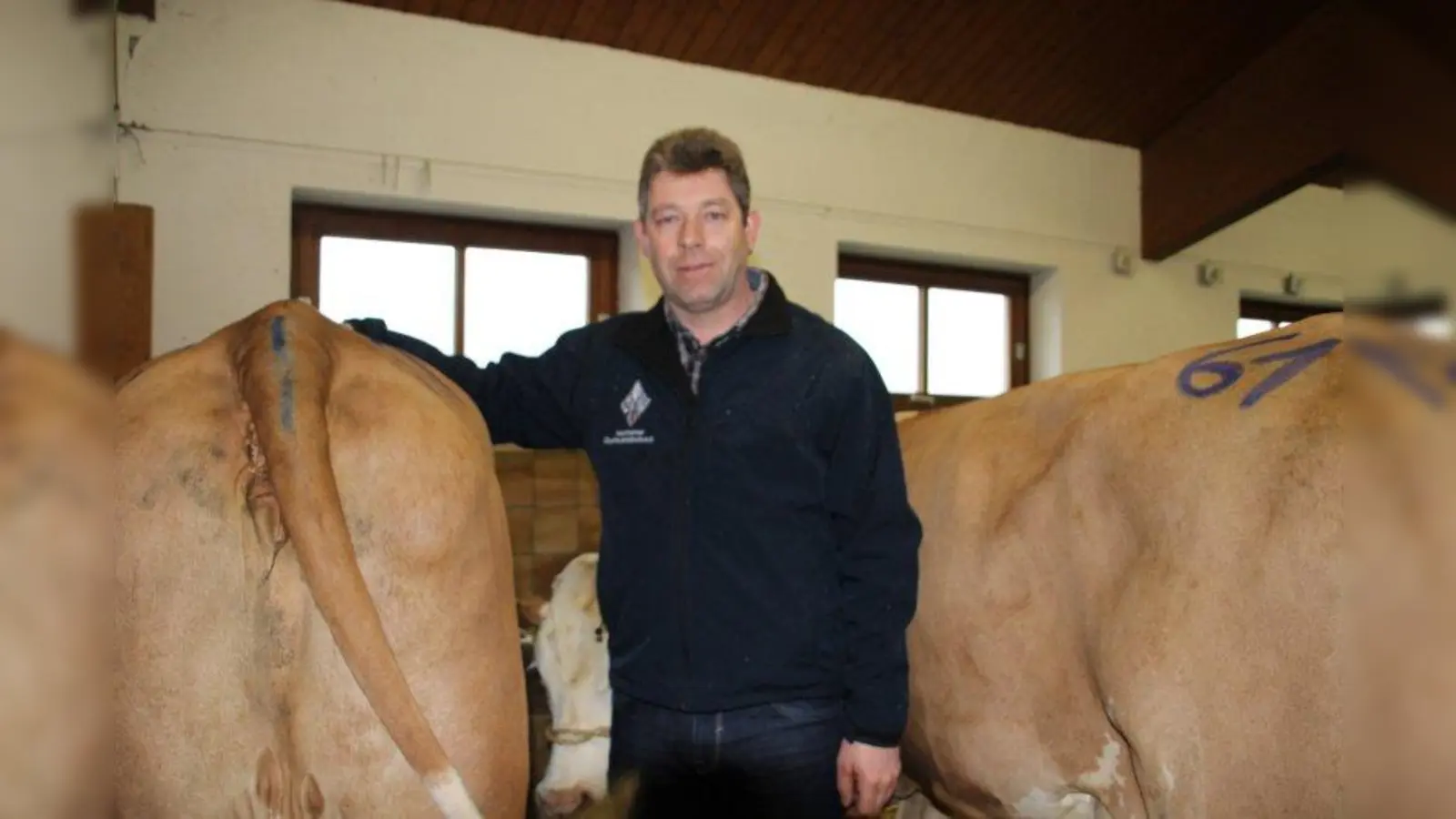 Bei Christian Schröfele dreht sich alles um das schöne Fleckvieh. Er ist selbst Besitzer eines kleinen Betriebes und Fachberater für Rinderzucht beim Zuchtverband Weilheim. (Foto: Huss-Weber)