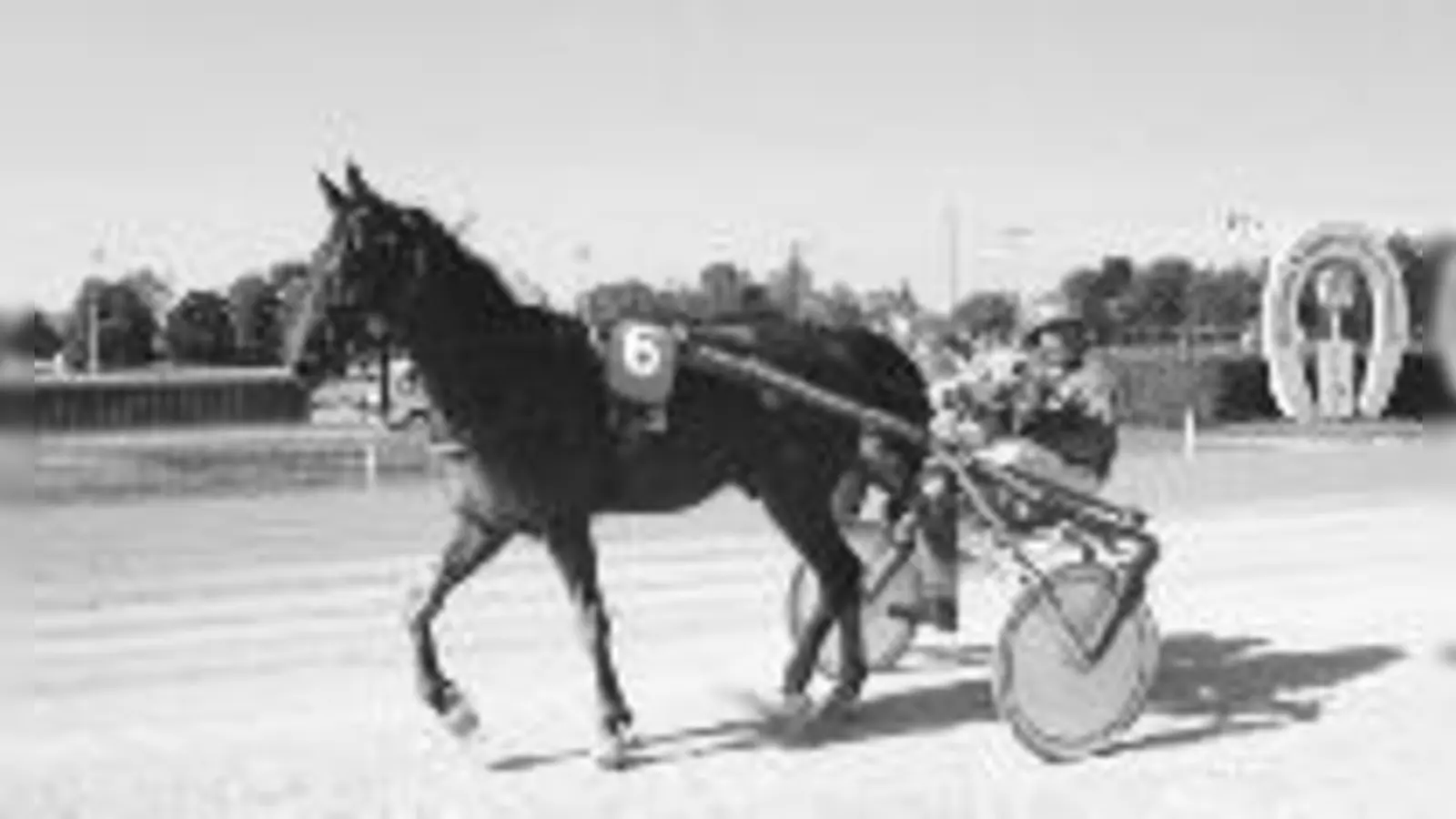 Glücklich nach hartem Kampf bis zur Linie: Gerd Biendl und Vairano.	  (Foto: Privat)