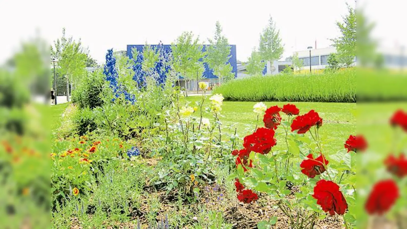 Den Poingern blüht etwas: Blumenbeete im Ort und hoffentlich eine gute Bewertung der Jury von »Entente Florale«.  (Foto: Gemeinde Poing)