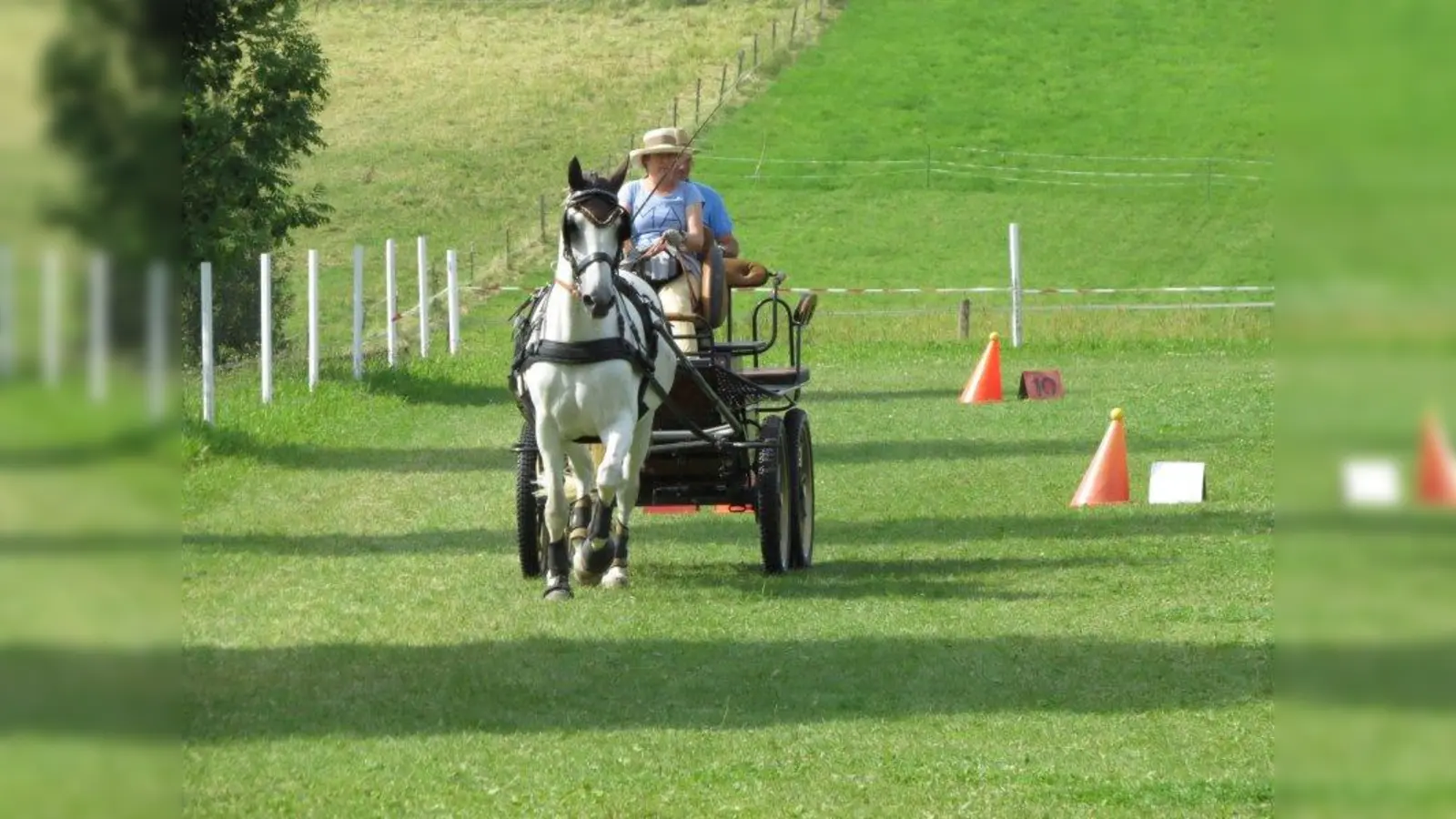 Viele Jahre saß Petra Neuhaus auf ihrem Pferd. Nachdem dies nur noch bedingt reitbar war, stiegen sie gemeinsam auf das Kutschefahren um und haben so ihre wahre Berufung gefunden. (Foto: Neuhaus)
