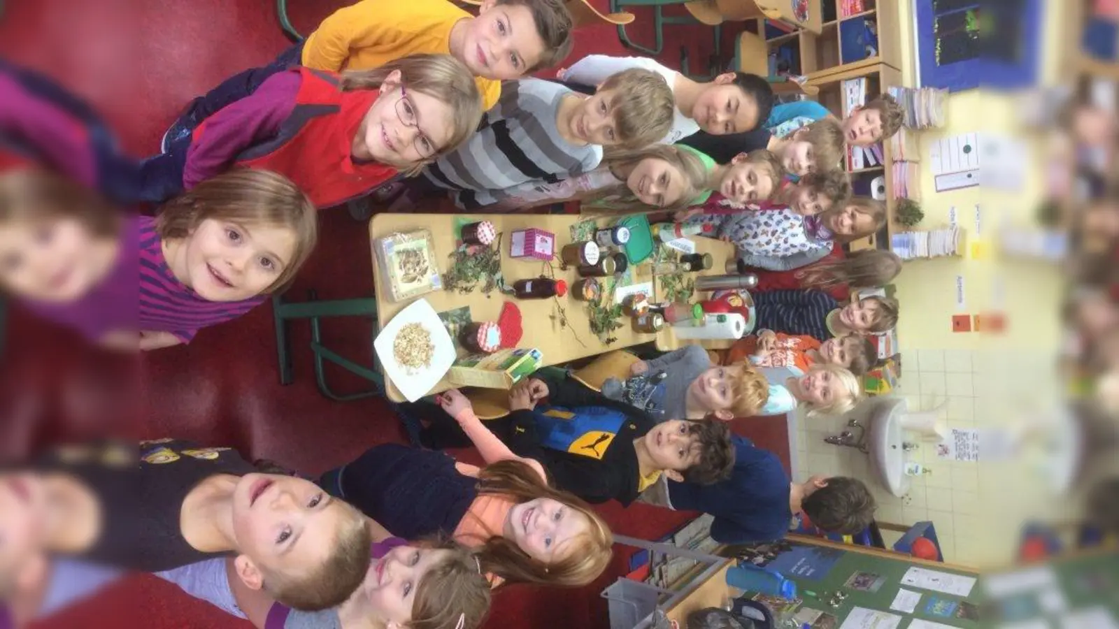 So leckere Sachen können aus einer Hecke geerntet werden. (Foto: Kleinfeldschule)