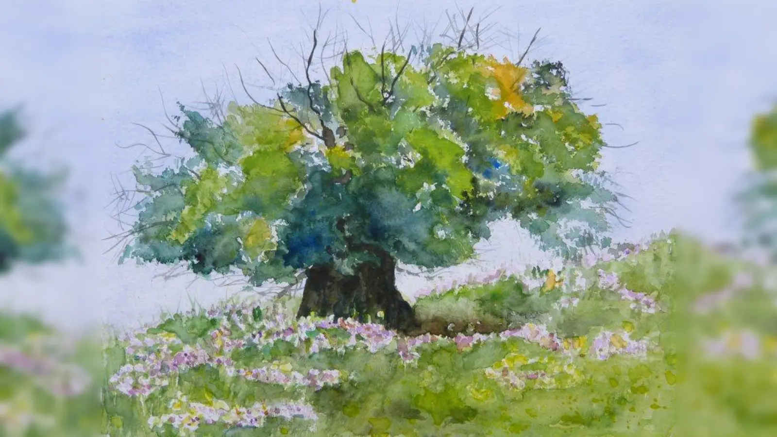 Alter Baum. (Foto: Sorger)