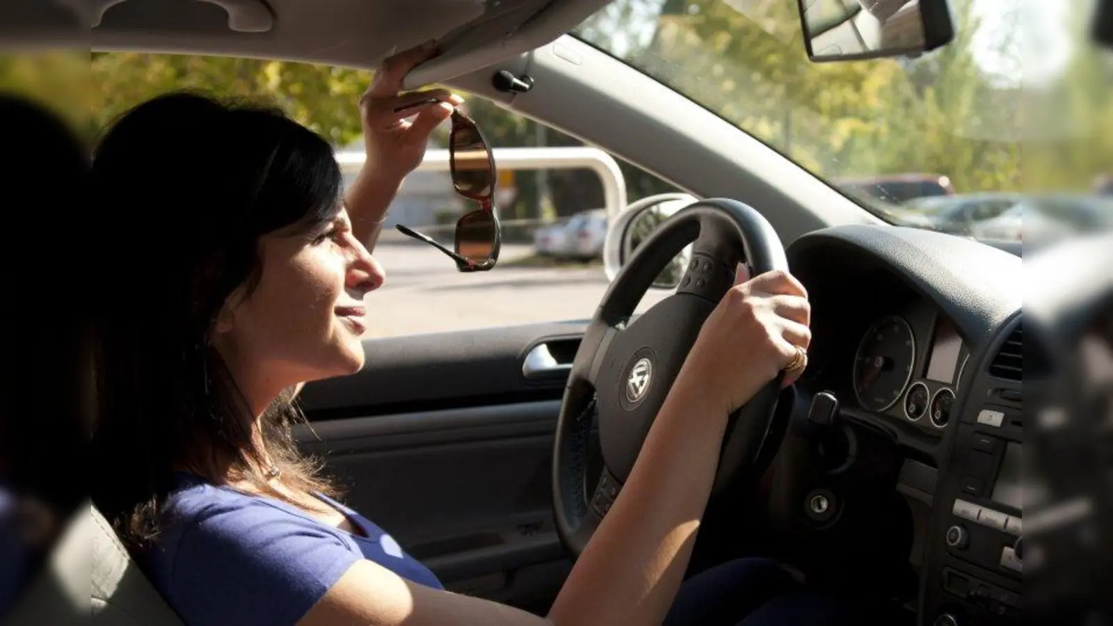 Die Sonnenbrille sollte im Auto stets griffbereit sein. (Foto: ACE)