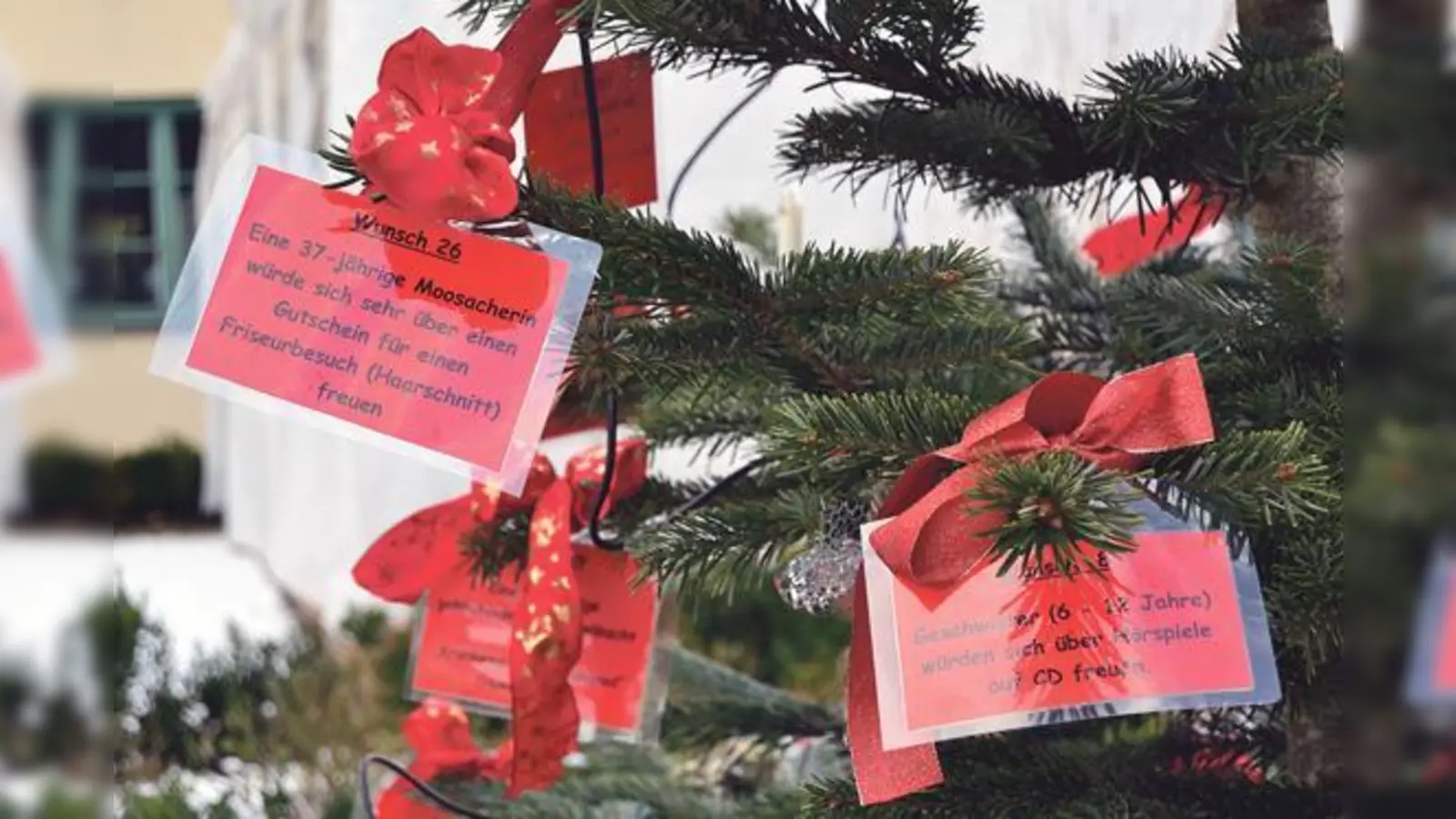 Ein Höhepunkt: der Moosacher Wunschbaum. Jeder kann hier mitmachen und Wünsche wahr werden lassen.	 (Foto: VA)