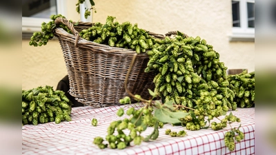 Die Valleyer Schloss Brauerei lädt am 1. September zum Tag der offenen Tür ein. (Foto: Ramona Meisl)