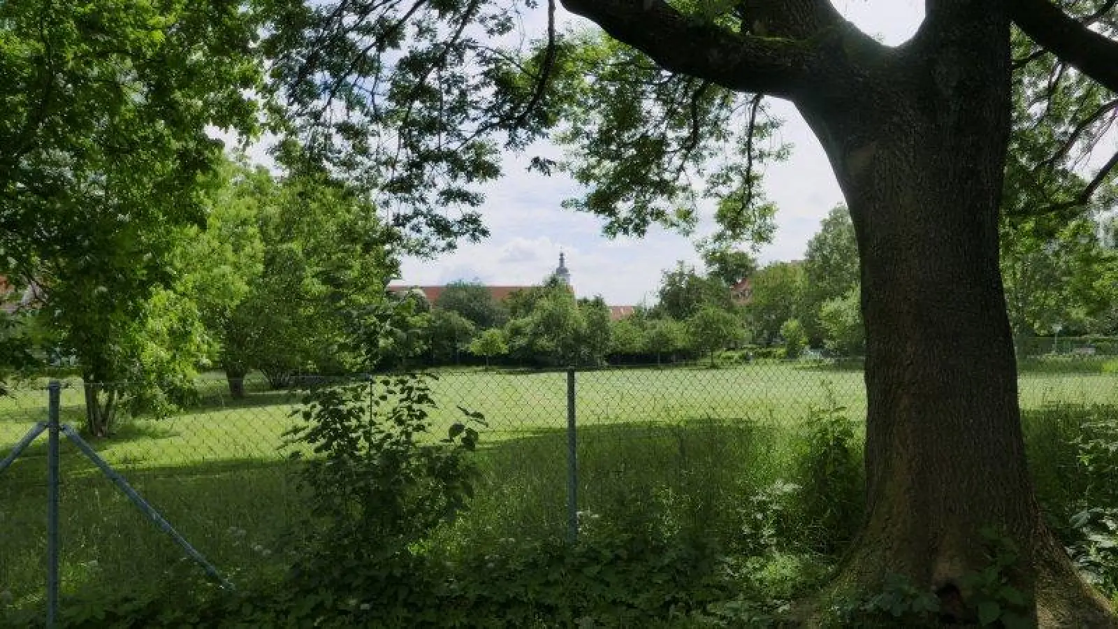 Natur vor Ort: Die Stemmerwiese bietet Platz zum Ausruhen und Erholen mitten in Sendling. (Foto: lsc)