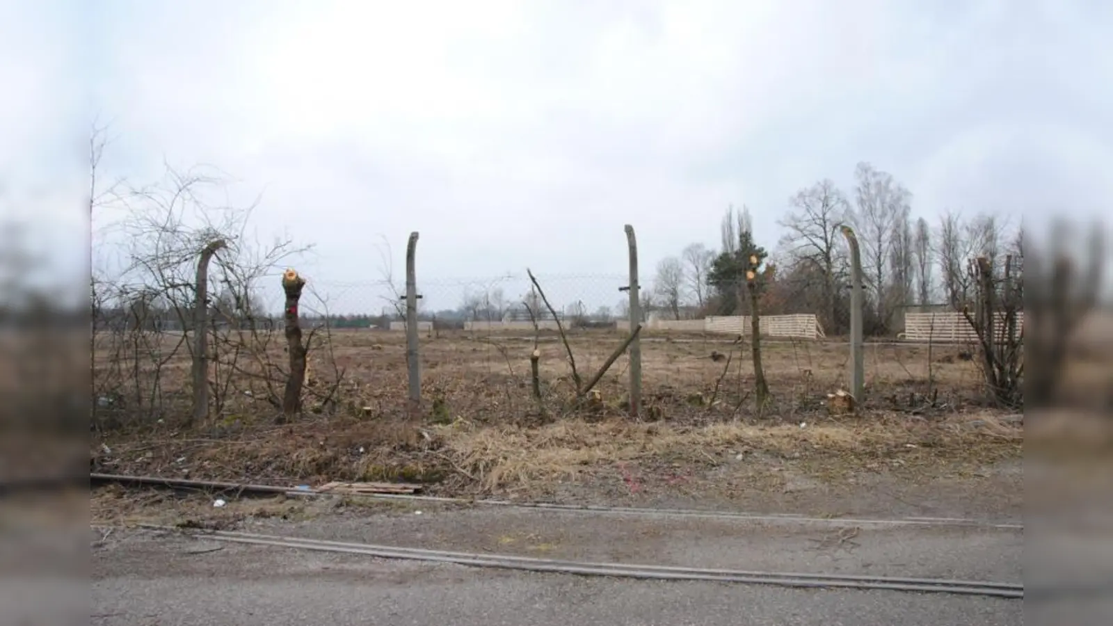 Für die Verlagerung der Tennisplätze wurde diese Fläche jetzt gerodet. (Foto: Eva Schraft)