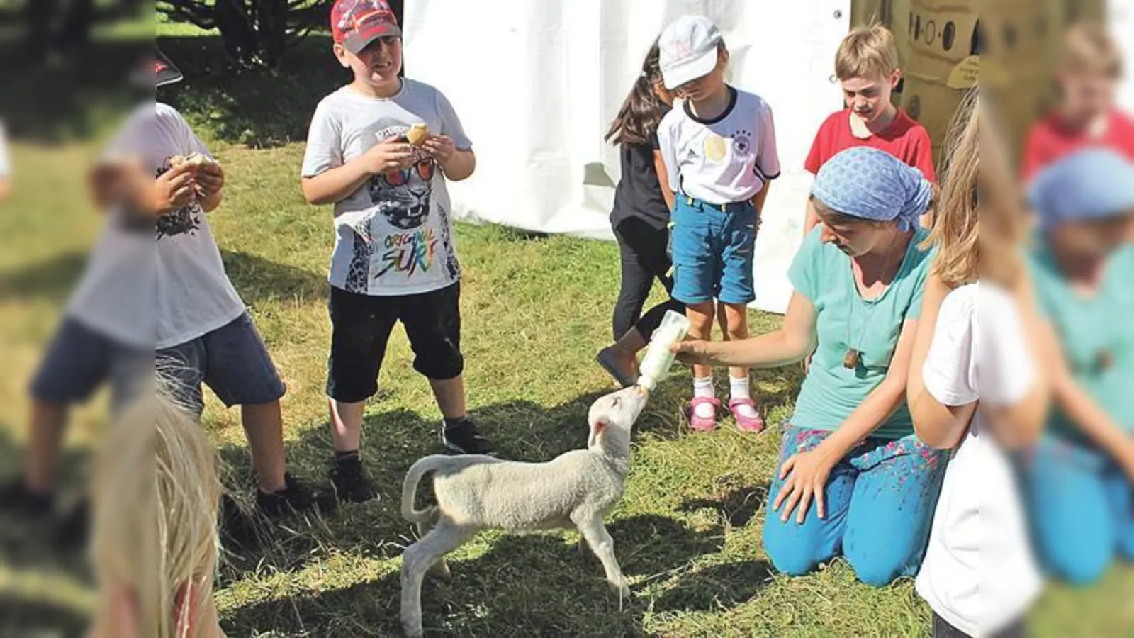 Wie süß: Die Kinder dürfen die Lämmchen füttern. Ein riesen Spaß für die ganze Familie!	  (Foto: VA)