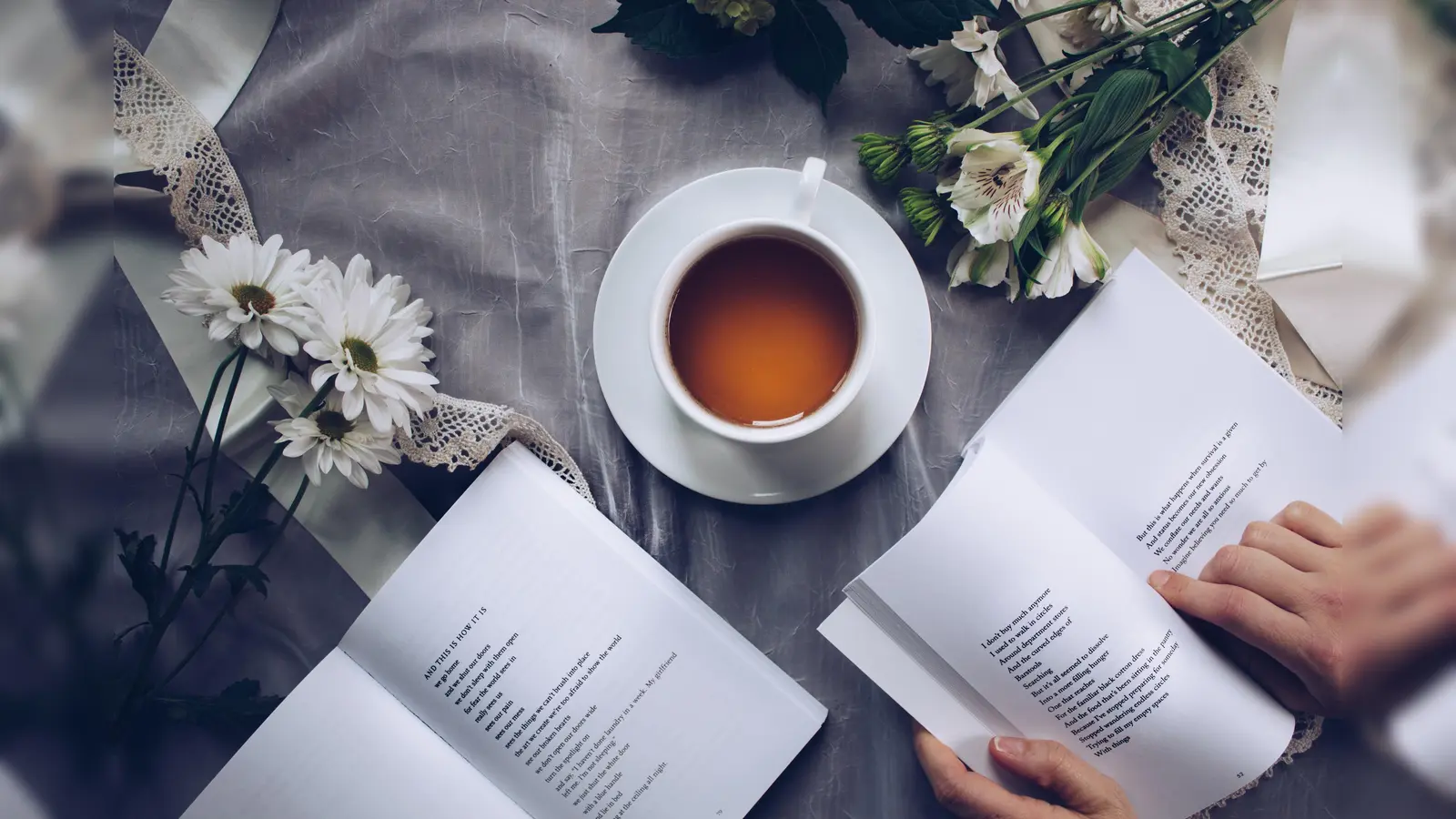 Die Stadtbibliothek Bogenhausen stellt ausgewählte Lieblingsromane für den Frühling vor. (Foto: CC0)