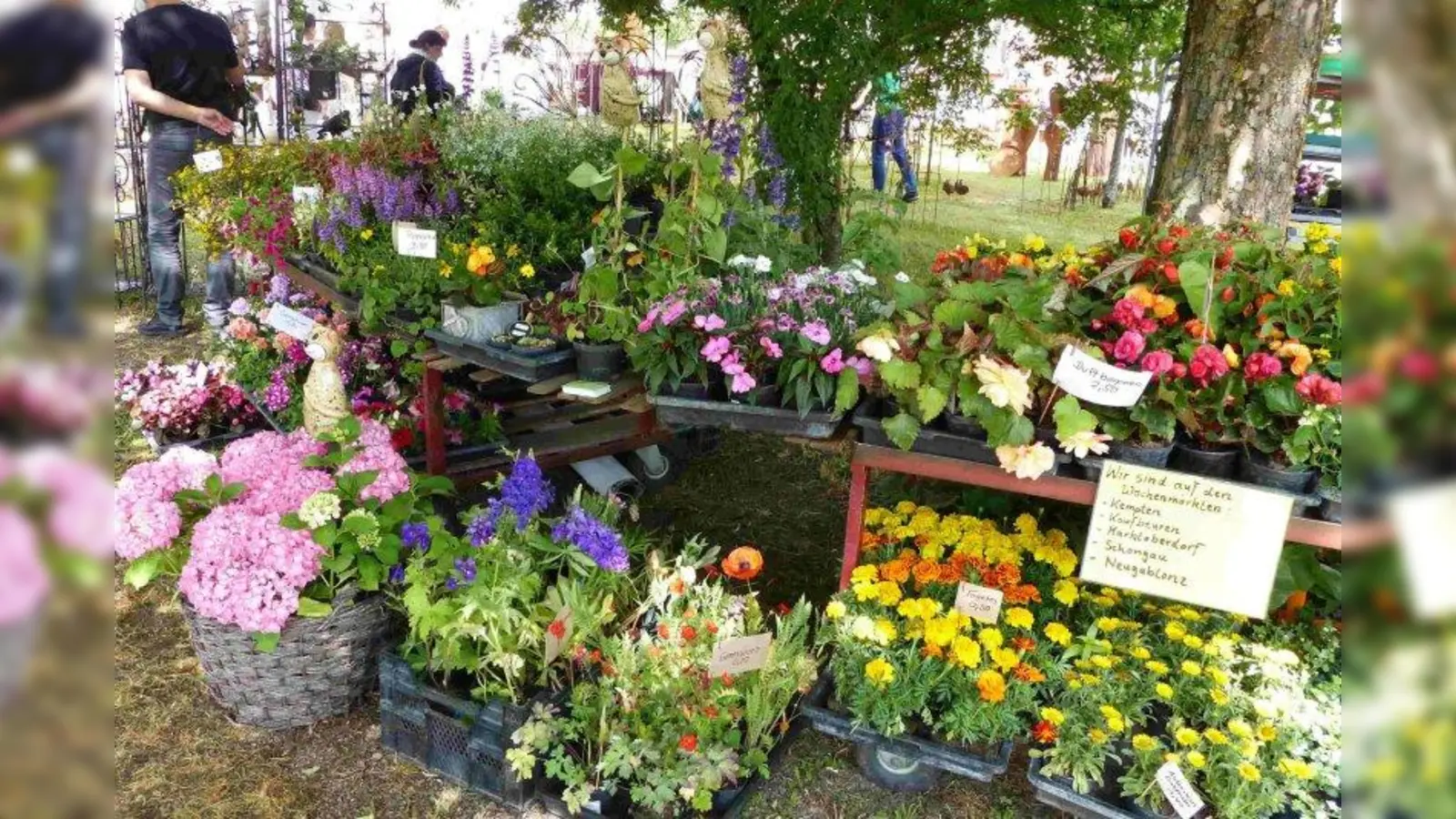 Blumen in allen Formen und Farben: Die Gartenmesse „München blüht” läutet endgültig den Frühling ein. (Foto: Eberhard Fetzer)