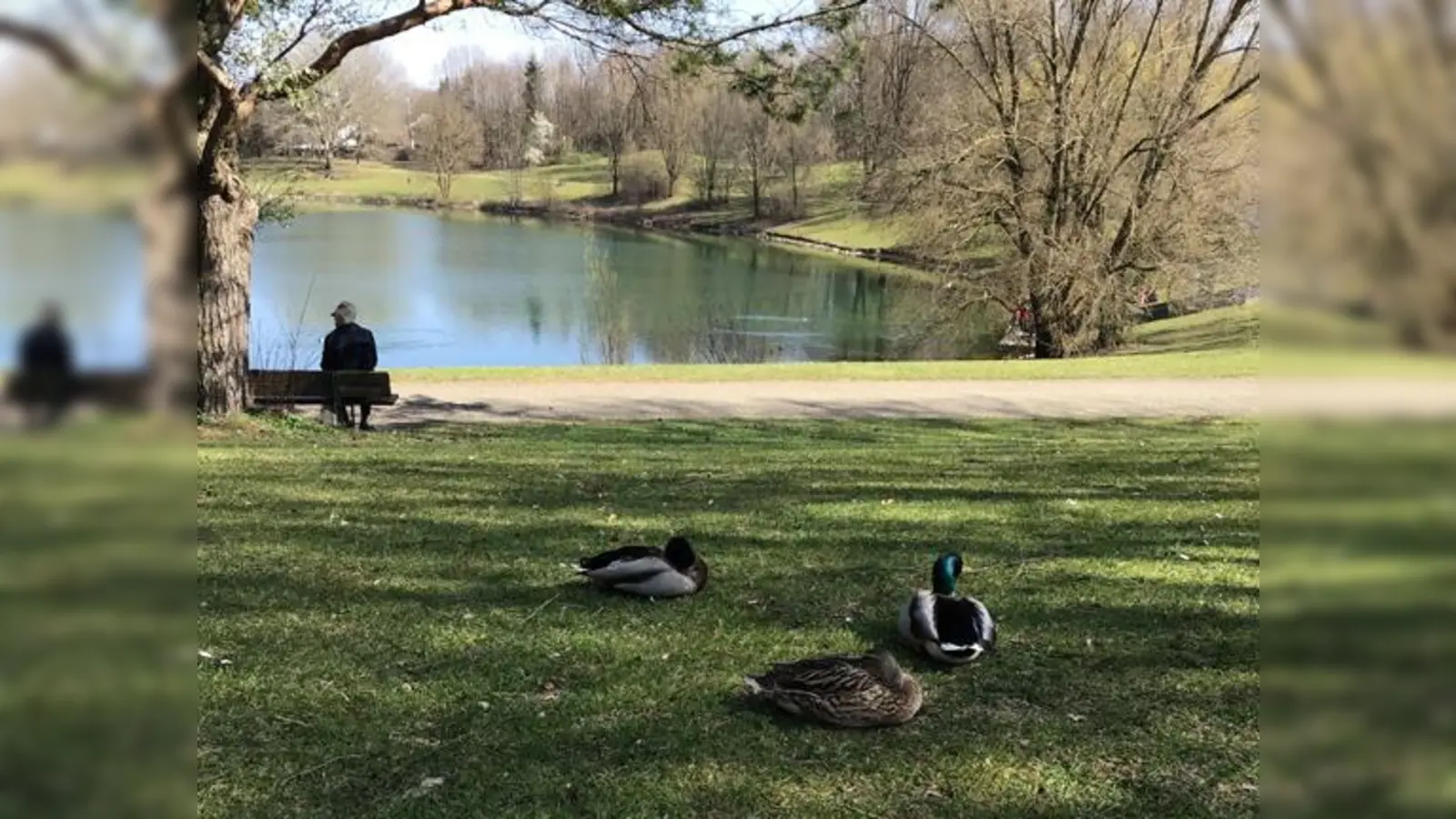 Wir am Lerchenauer See sucht engagierte Mitarbeitende für die Alltagsbegleitung.  (Foto: Daniel Mielcarek)