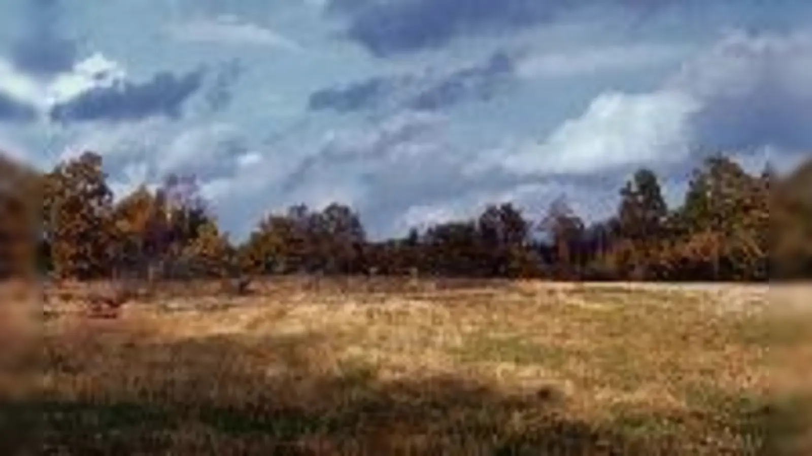 Heidelandschaft bei Bargfeld im Fokus von Arno  (Schmidt.Foto: VA)