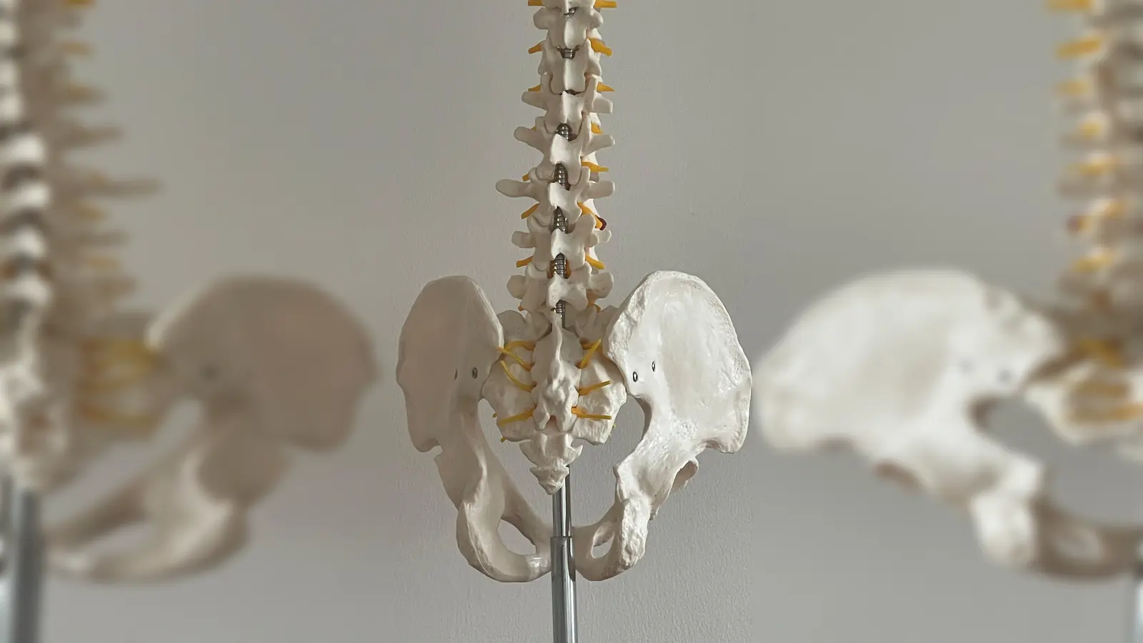 Für einen gesunden Rücken kann man selber viel beitragen. Bewegung tut dem Körper gut. (Foto: hw)