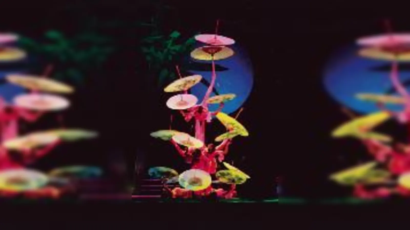 Artistikkunst gepaart mit  (Foto: »Hebei«. Foto:VA)