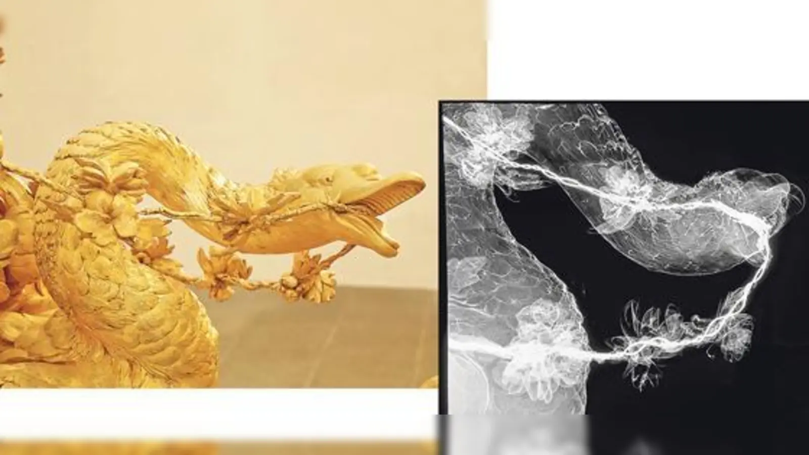 Der Schwan am Prachtschlitten, wie König Ludwig II. ihn gesehen hat, und eine Röntgenaufnahme davon. Der Blick ins Innenleben offenbart aber entgegen der Annahme nicht alle Geheimnisse.	 (Foto: © Bayerische Schlösserverwaltung)