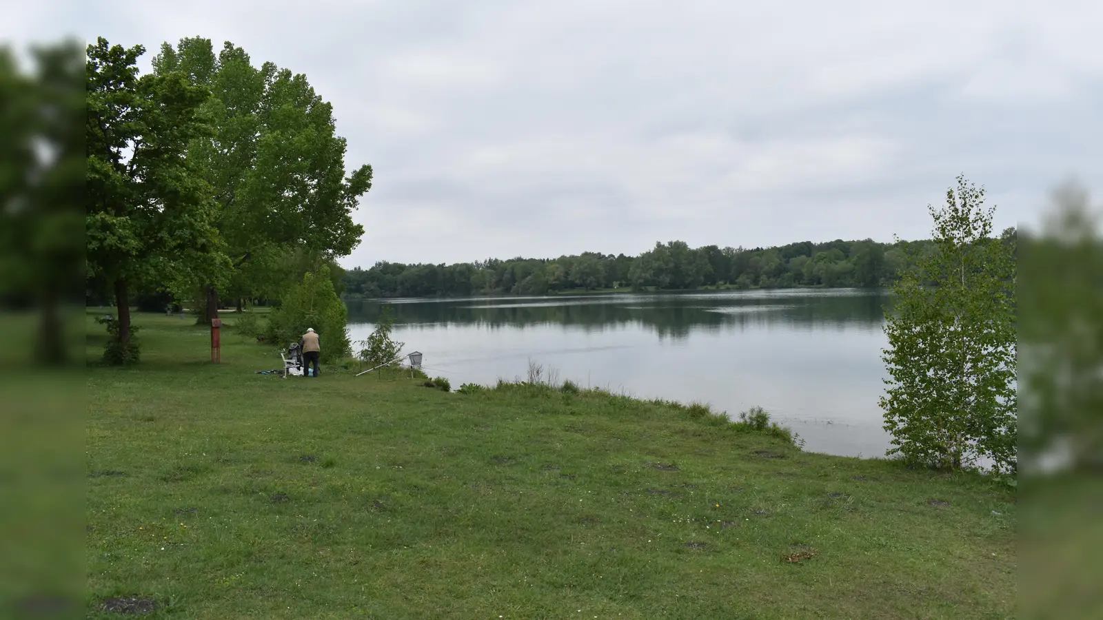 Am Feldmochinger See entsteht nun ein Krautgarten. (Foto: Daniel Mielcarek)