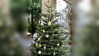 So sah der letztjährige Sternenkinder-Baum im Garten des Park-Cafés aus. Heuer wird es einen im Luitpoldpark geben. Er bietet Angehörigen die Möglichkeit, an ihr verstorbenes Kind zu erinnern.  (Foto: © Janina Scheffler und Armin Arnold.)