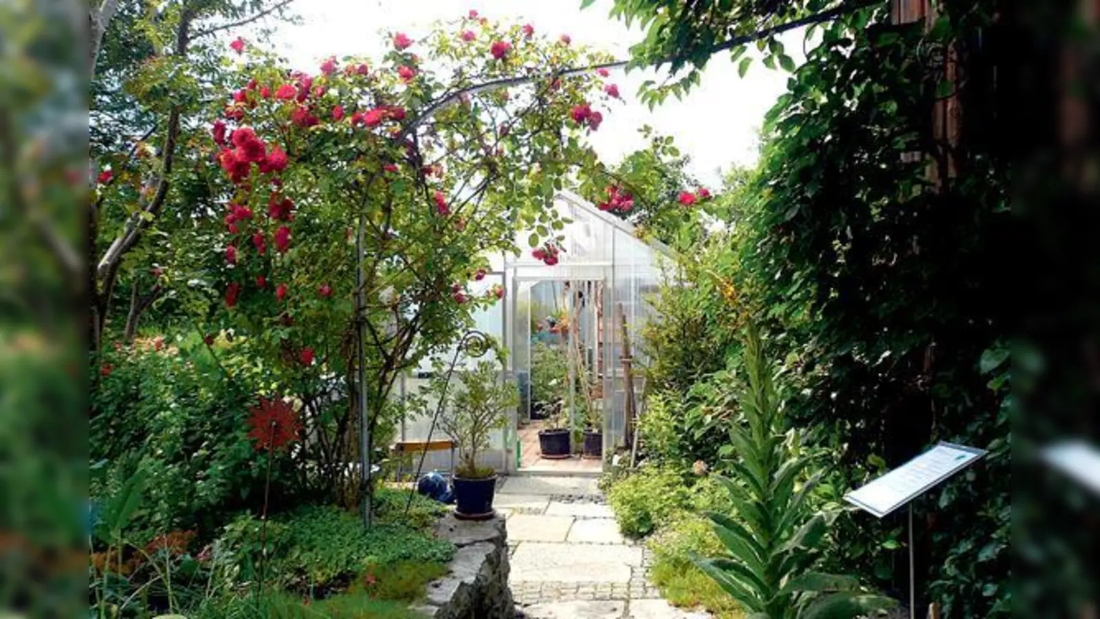 Ein gelungenes Gartenbeispiele aus dem letzten Jahr bei der offenen Gartentür.	 (Foto: privat)