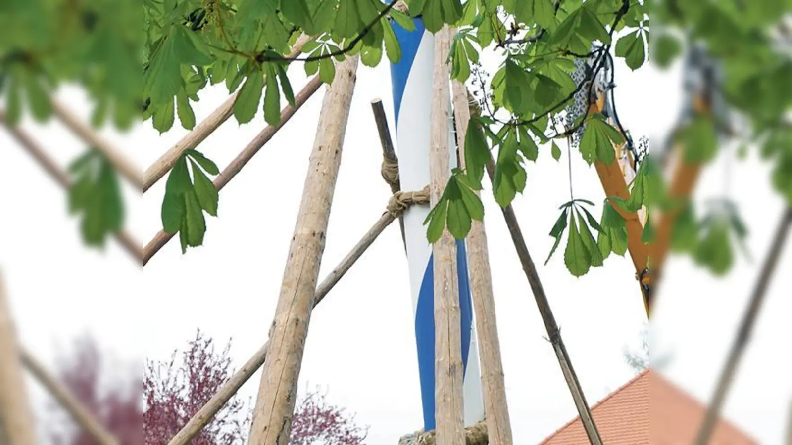 Am 30. April wird auf der Bachwiesen in Oberhaching-Furth ein neuer Maibaum aufgestellt.	 (Foto: VA)