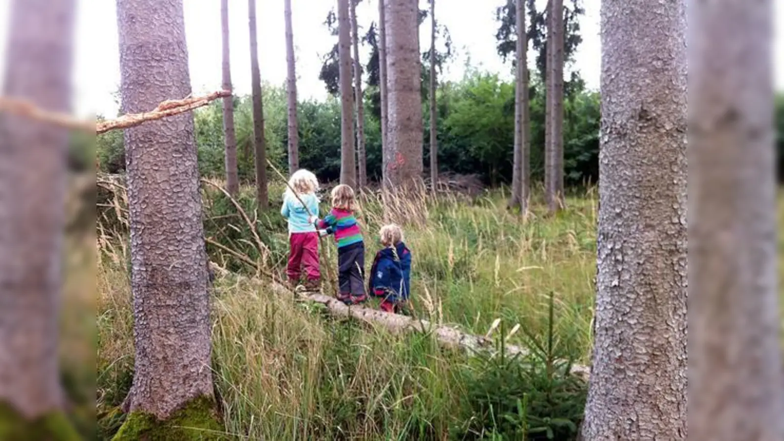 Die drei Mädchen erkunden den Wurzelplatz.	 (Foto: privat)