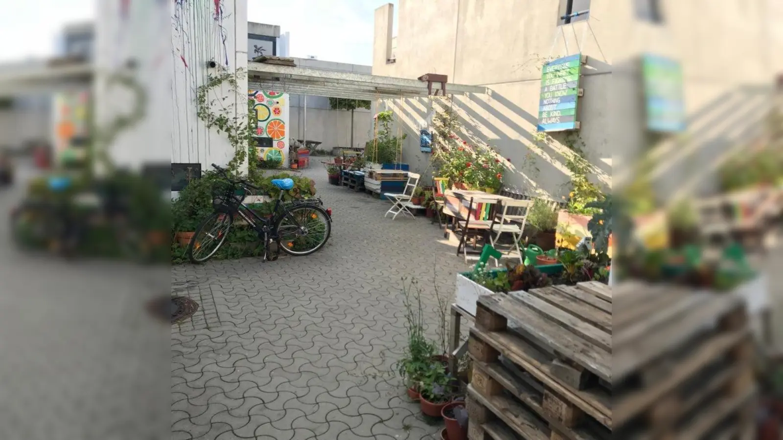 Wenn das Grün verschwunden ist, weil Betonwände und Bodenversiegelung überhand nehmen, dann muss es eben zurückgeholt werden, wie hier beim Projekt „Gassengarten”. (Foto: © Vincent Unkauf)