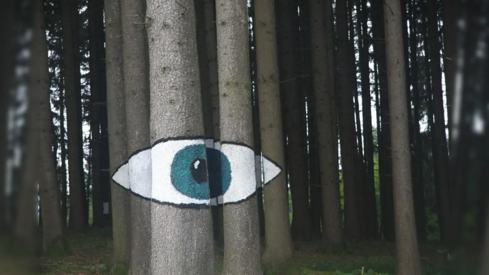 Die Bilder erstrecken sich jeweils über mehrere Bäume. (Foto: pi)