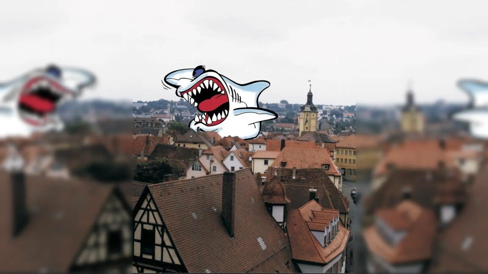 Die Dachdecker-Innung warnt vor &amp;quot;Dach-Haien&amp;quot;, die insbesondere ältere Hauseigentümern unnötige Dacharbeiten aufschwatzen. (Foto: Innung)